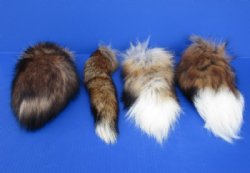 12 to 13 inches Tanned Red Fox Tail Key Chains for Sale - 2 @ $11.65 each (Plus $8.50 First Class Mail)