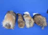 13 to 16 inches Tanned Red Fox Tail Ball Chain Keychains for Sale - 2 @ $13.00 each 