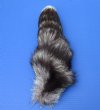 15 to 18 inches long Silver Fox Tail Key Chain for Sale -<font color=red> $14.99 each</font> Plus $6.50 1st Class Mail