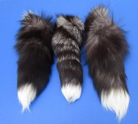 15 to 18 inches long Silver Fox Tail Key Chain for Sale - <font color=red>2 @ $11.65 each</font> (Plus $8 Gound Advantage Shipping)