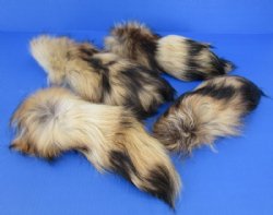 11 to 13 inches long Tanuki Tail Key Chains - 2 @<font color=red> $11.70 each </font> Plus $7.50 Mail
