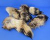 <font color=red>Wholesale</font> Tanned Tanuki Tail Key Chains in Bulk (Japanese Raccoon Dog Tail Key Chains) Case of 17 @ $5.40 each