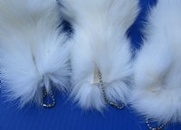 15 to 18 inches Real Tanned White Fox Tail Key Chain for Sale -  $21.99 each