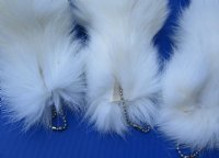 15 to 18 inches long <font color=red> Wholesale</font> White Fox Tail Key Chains for Sale in Bulk - Case of 7 @ $14.50 each