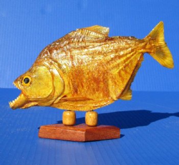 Taxidermy Piranha Fish