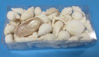 8 inches Clear Plastic Gift Box filled with Assorted White Seashells <font color=red> Wholesale</font> - Case: 48 @ $3.60 each