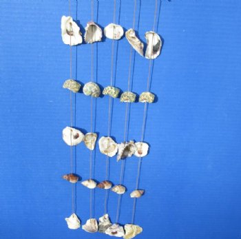 19 by 6 Inches Hanging Seashell Wall Decor, Wind Chime- 5 @ $3.92 each