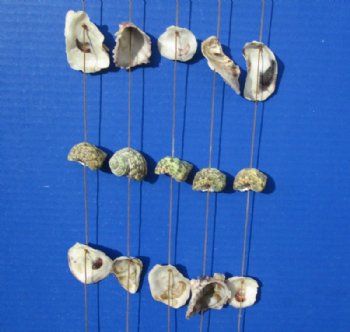 19 by 6 Inches Hanging Seashell Wall Decor, Wind Chime- 5 @ $3.92 each