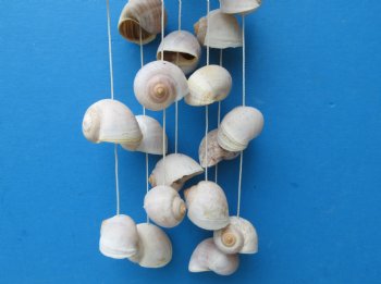 12 inches Seashell Scallop with Moon Snail Shells Windchime  - 5 @ $3.60 each