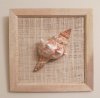 8 by 8 inches Wood Framed Fox Shell Wall Decor, made with a real seashell $5.99