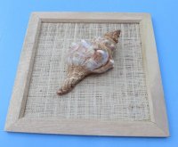 8 by 8 inches Wood Framed Fox Shell Wall Decor - $5.99