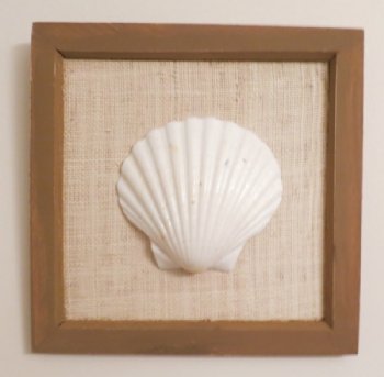 8 by 8 inches Wood Framed White Scallop Shell Wall Decor - $5.99 each