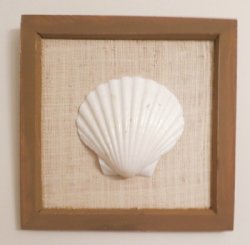 8 by 8 inches Wood Framed White Scallop Shell Wall Decor - $5.99 each