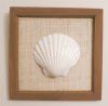 8 by 8 inches Wood Framed Shell Wall Decor, made with a real Irish deep baking shell - Priced $5.99 each