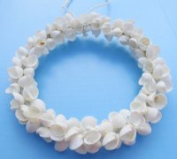 8 inches Round White Shell Wreath made with Tiny Ribbed Cockle Seashells - Bulk Case: 20 @ $4.50 each