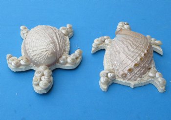Small Pearl Abalone Shell Turtle Wall Plaque, 4-1/2 by 3-1/2 inches - 10 @ $2.90 each