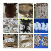 Wholesale Hides, Skins
