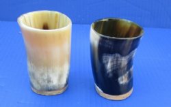 Cow Horn Cups with ...