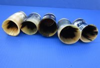 <font color=red>Wholesale</font> Cow Horn Cups with a Wood Bottom - 18 @ $5.25 each