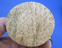 Cow Horn Cups with a Wood Bottom <font color=red>Wholesale</font>  - 18 @ $5.25 each