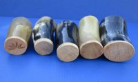 5 inches Cow Horn Cups with a Wood Bottom<font color=red> Wholesale</font>   - 12 @ $7.50 each