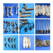 Animal Feet, Claws, Small Quantities and Bulk